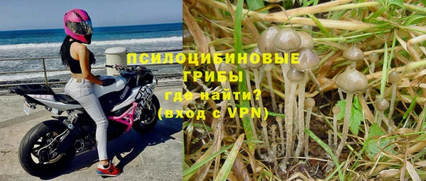 ПСИЛОЦИБИНОВЫЕ ГРИБЫ Алексин
