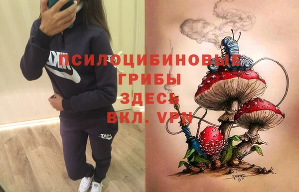 наркотики Алексеевка